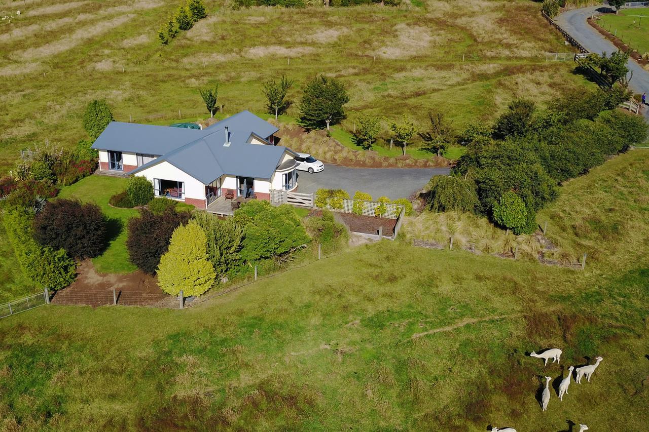 Alpaca Farmstay Dunedin Exteriör bild