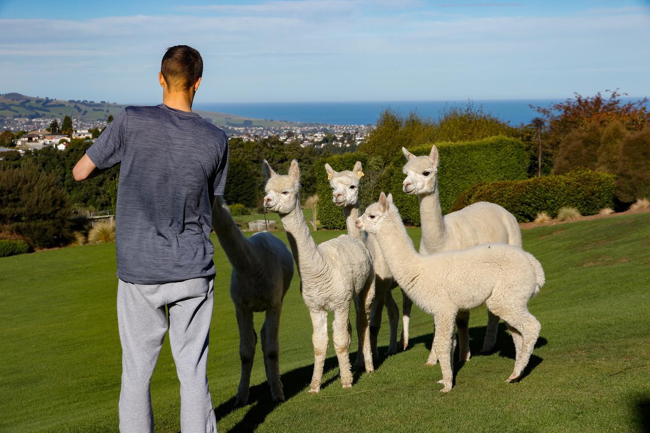 Alpaca Farmstay Dunedin Exteriör bild